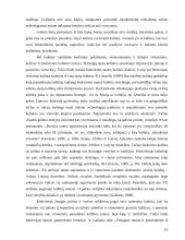 Lotynų Amerikos Muzikos sklaida Lietuvoje 16 puslapis