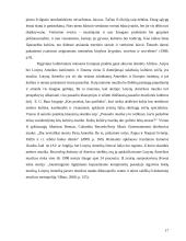 Lotynų Amerikos Muzikos sklaida Lietuvoje 17 puslapis