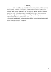 Frančizės sutartys 2 puslapis