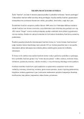 Frančizės sutartys 3 puslapis