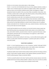 Frančizės sutartys 4 puslapis