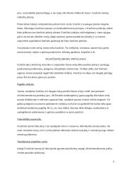 Frančizės sutartys 6 puslapis