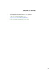 Frančizės sutartys 10 puslapis