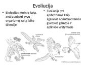 Evoliucija – Mokslas apie gyvosios gamtos vystymąsi