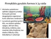 Evoliucija – Mokslas apie gyvosios gamtos vystymąsi 10 puslapis