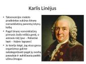 Evoliucija – Mokslas apie gyvosios gamtos vystymąsi 13 puslapis