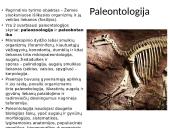 Evoliucija – Mokslas apie gyvosios gamtos vystymąsi 15 puslapis