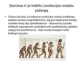 Evoliucija – Mokslas apie gyvosios gamtos vystymąsi 17 puslapis