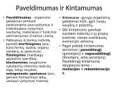 Evoliucija – Mokslas apie gyvosios gamtos vystymąsi 18 puslapis
