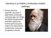 Evoliucija – Mokslas apie gyvosios gamtos vystymąsi 19 puslapis