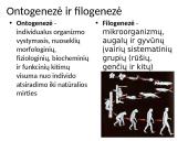 Evoliucija – Mokslas apie gyvosios gamtos vystymąsi 2 puslapis