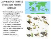 Evoliucija – Mokslas apie gyvosios gamtos vystymąsi 20 puslapis