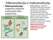 Evoliucija – Mokslas apie gyvosios gamtos vystymąsi 3 puslapis