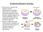 Evoliucija – Mokslas apie gyvosios gamtos vystymąsi 9 puslapis