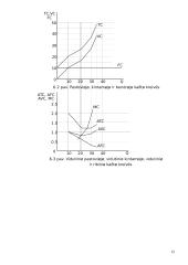 Gamintojo elgsena. Gamybos kaštų teorija 12 puslapis