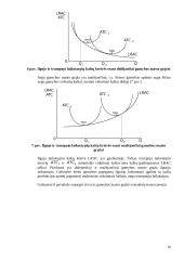 Gamintojo elgsena. Gamybos kaštų teorija 16 puslapis