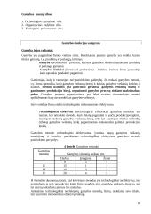 Gamintojo elgsena. Gamybos kaštų teorija 19 puslapis