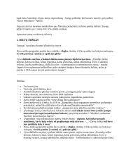 B. Sruoga „Dievų miškas“ (konspektas) 2 puslapis