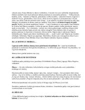 B. Sruoga „Dievų miškas“ (konspektas) 11 puslapis