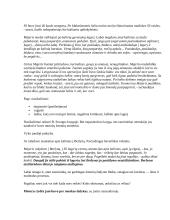 B. Sruoga „Dievų miškas“ (konspektas) 8 puslapis