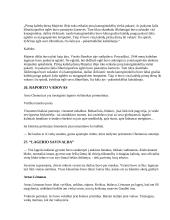 B. Sruoga „Dievų miškas“ (konspektas) 9 puslapis