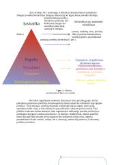 Įmonės personalo motyvavimo sistema 5 puslapis