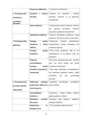 Socialinio darbo praktika globojant mentoriui  13 puslapis