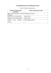 Socialinio darbo praktika globojant mentoriui  16 puslapis