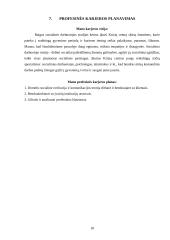 Socialinio darbo praktika globojant mentoriui  17 puslapis