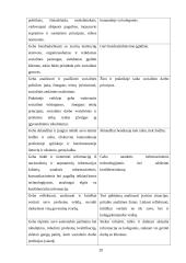 Socialinio darbo praktika globojant mentoriui  19 puslapis