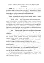 Socialinio darbo praktika globojant mentoriui  2 puslapis