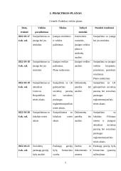 Socialinio darbo praktika globojant mentoriui  4 puslapis