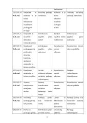 Socialinio darbo praktika globojant mentoriui  5 puslapis