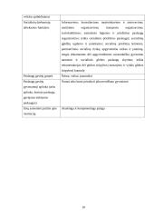 Socialinio darbo praktika globojant mentoriui  9 puslapis