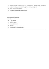 Globali logistika 2 puslapis