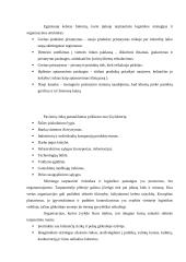 Globali logistika 8 puslapis