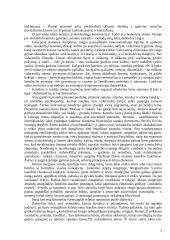 Gotikos menas ir dailė 2 puslapis