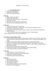 Grafiniai failai ir programos 6 puslapis