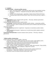 Grafiniai failai ir programos 8 puslapis