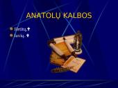 Indoeuropiečių kalbų šeima (skaidrės) 13 puslapis