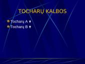 Indoeuropiečių kalbų šeima (skaidrės) 14 puslapis