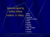 Indoeuropiečių kalbų šeima (skaidrės) 3 puslapis