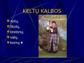 Indoeuropiečių kalbų šeima (skaidrės) 8 puslapis