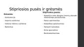 UAB Mineraliniai vandenys ir alus. “Vyno meka”  7 puslapis