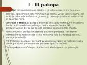 Pasaulio gyventojų skaičiaus kaita (skaidrės) 14 puslapis