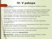 Pasaulio gyventojų skaičiaus kaita (skaidrės) 15 puslapis