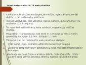 Pasaulio gyventojų skaičiaus kaita (skaidrės) 19 puslapis