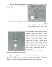 Ikebanos stilius 11 puslapis