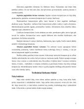 Ikebanos stilius 13 puslapis