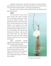 Ikebanos stilius 3 puslapis